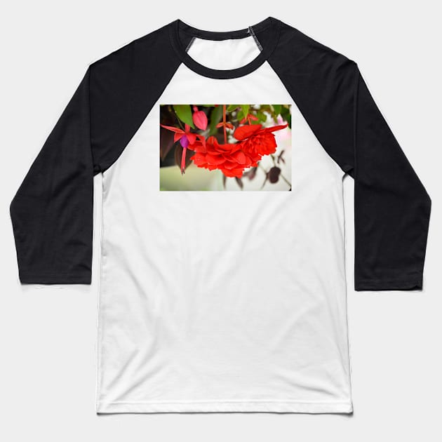 Begonias and Fuschia Baseball T-Shirt by bobmeyers